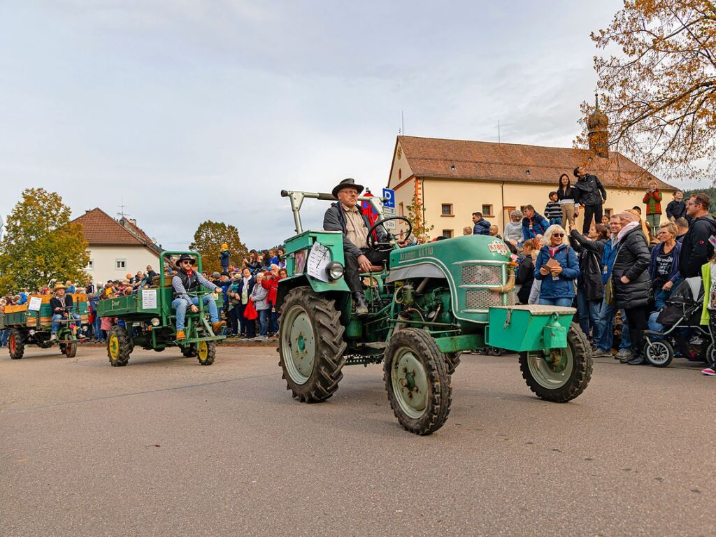 Die Tiere der Erlenbacher Weidegenossenschaft sind wieder im Tal. Das wurde in Oberried beim Almabtrieb mit einem groen Fest gefeiert.