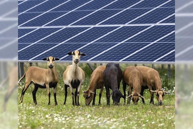 Mglichst wenig Beeintrchtigung fr die Landschaft