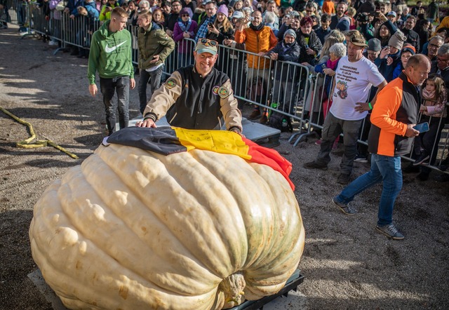 Der Riesenk&uuml;rbis von van Geel wog 1.152 Kilogramm.  | Foto: Christoph Schmidt/dpa