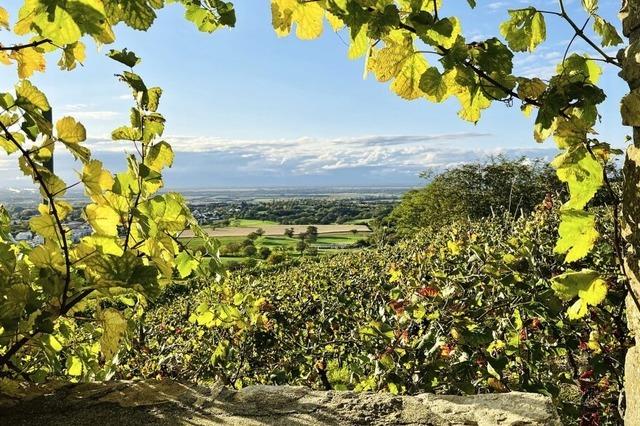 Herbstliche Aussichten