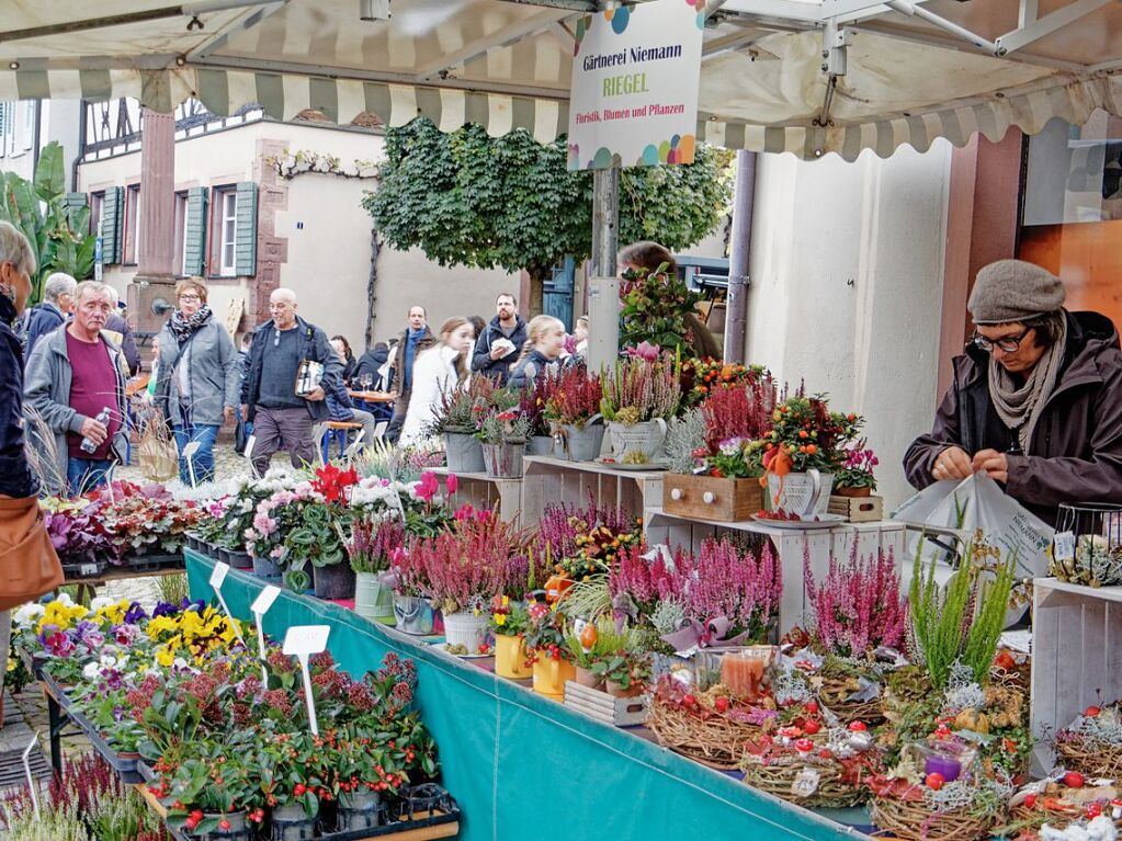 Premiere des Kaiserstuhl-Markts in Endingen