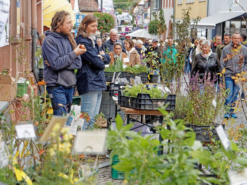 Premiere des Kaiserstuhl-Markts in Endingen