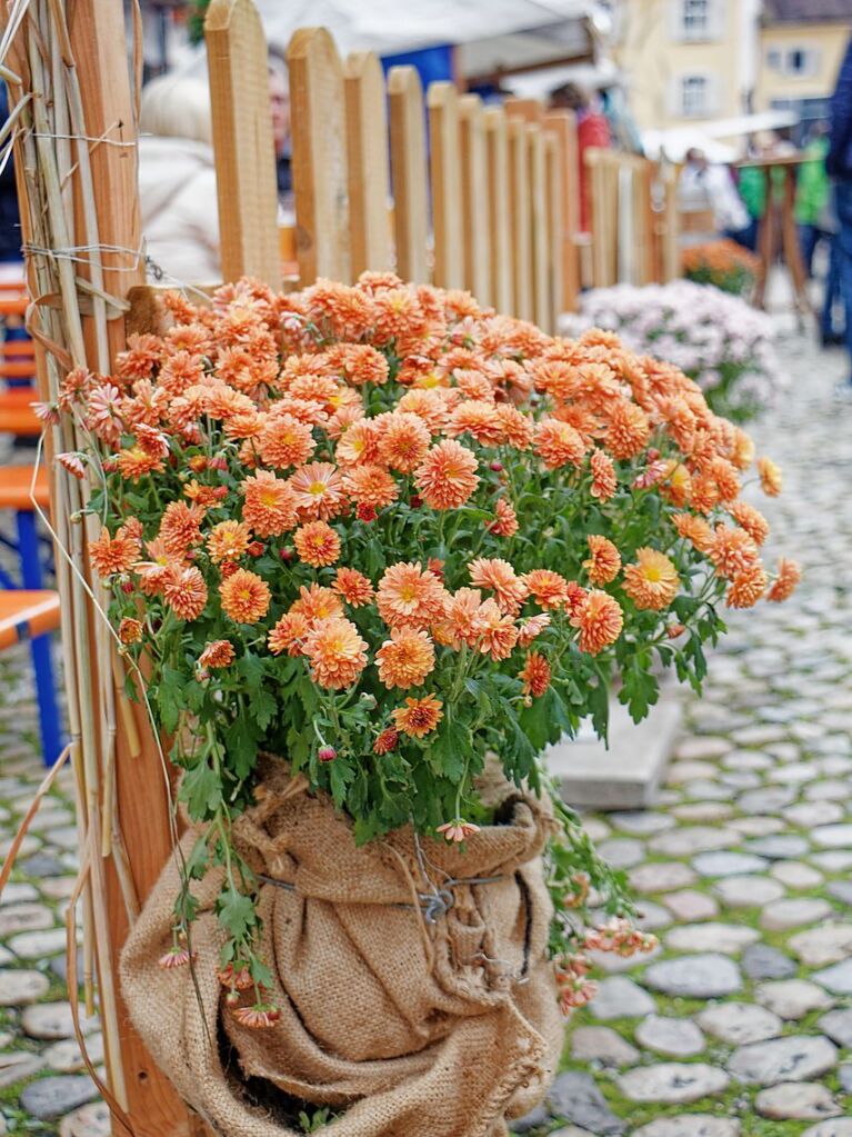 Schne Dekoideen bei der Premiere des Kaiserstuhl-Markts in Endingen