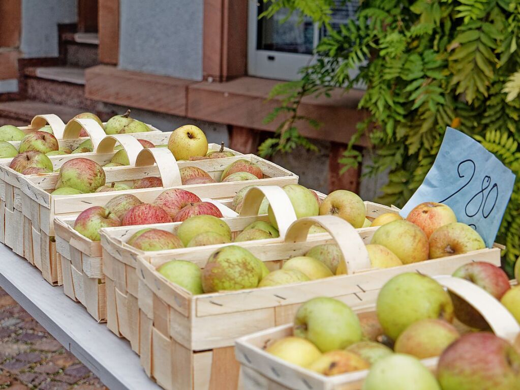 Premiere des Kaiserstuhl-Markts in Endingen