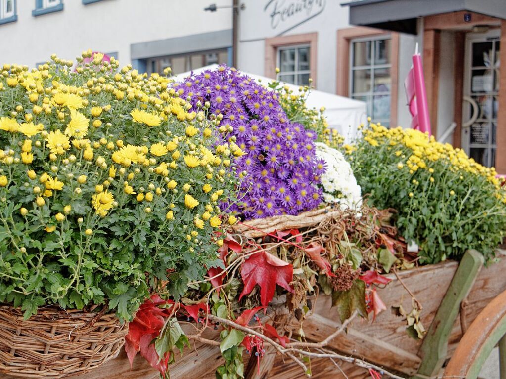 Schne Dekoideen bei der Premiere des Kaiserstuhl-Markts in Endingen