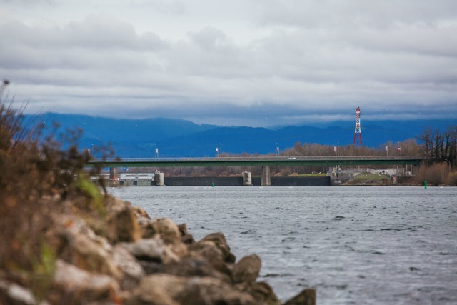 Die Rheinbrcke bei Breisach. In ihrer...April Leichenteile im Wasser gefunden.  | Foto: Philipp von Ditfurth (dpa)