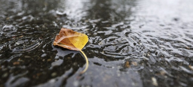 Ein neues Regenklrbecken am Entenbad ...Regenwasser mehr in den Fluss fliet.   | Foto: Thomas Warnack (dpa)