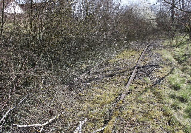 Verwachsen, schwer zu finden und schon... des Anschlussgleises in Wyhlen heute.  | Foto: Rolf Reimann