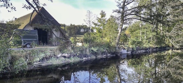 Bei Sturm umstrzende Bume sind fr den Schlchtsee gefhrlich  | Foto: Wilfried Dieckmann