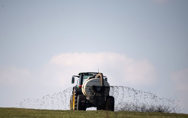 Die gr&ouml;&szlig;te Belastung des Ob...t aus, berichtet die EU-Umweltagentur.  | Foto: Sebastian Gollnow/dpa