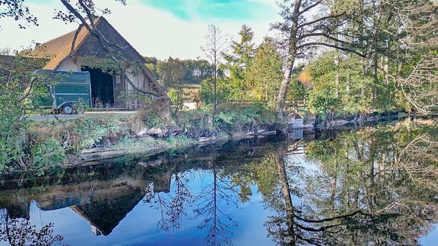 Bei Sturm umstrzende Bume sind fr den Schlchtsee gefhrlich.  | Foto: Wilfried Dieckmann