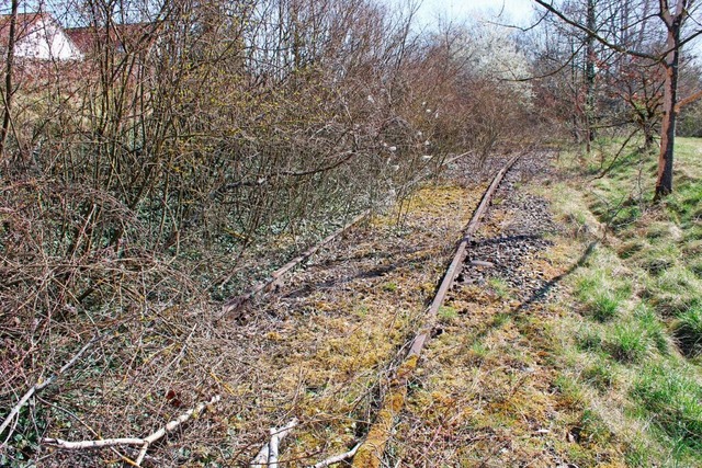 Verwachsen, schwer zu finden und schon... des Anschlussgleises in Wyhlen heute.  | Foto: Rolf Reimann