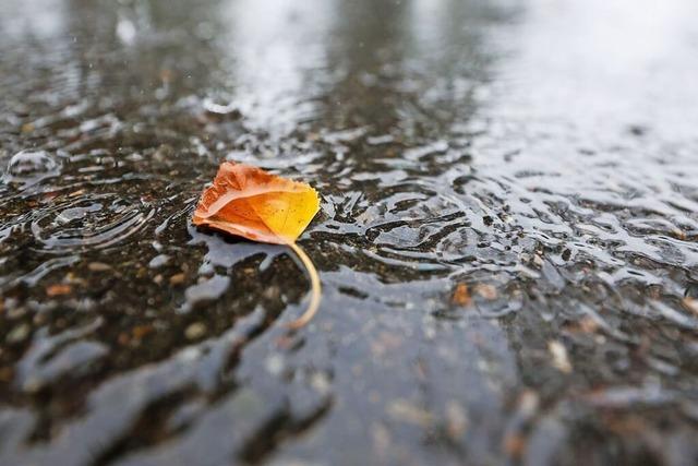 Stadt Lrrach baut Regenklrbecken im Gewerbegebiet Entenbad