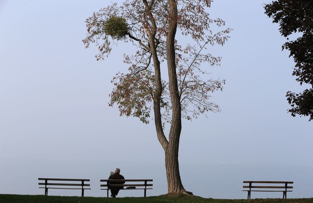 Goldener Oktober? Der kommt nur f&uuml...ouml;henbewohner im Land. (Symbolbild)  | Foto: Karl-Josef Hildenbrand/dpa