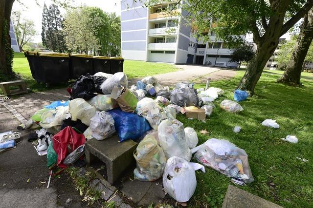 Die Stadt Freiburg sagt Ratten den Kampf an