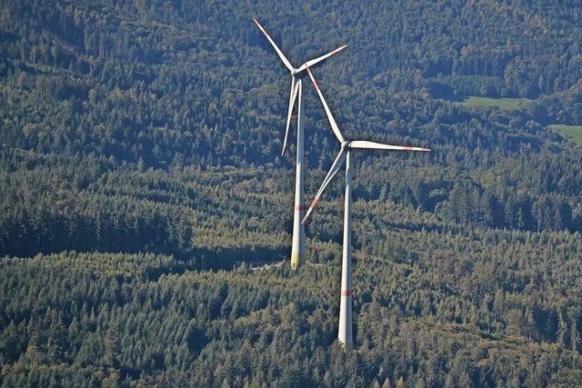 Investoren wollen Antrag fr Windrder am Haldenkpfle in Mnstertal noch 2024 stellen