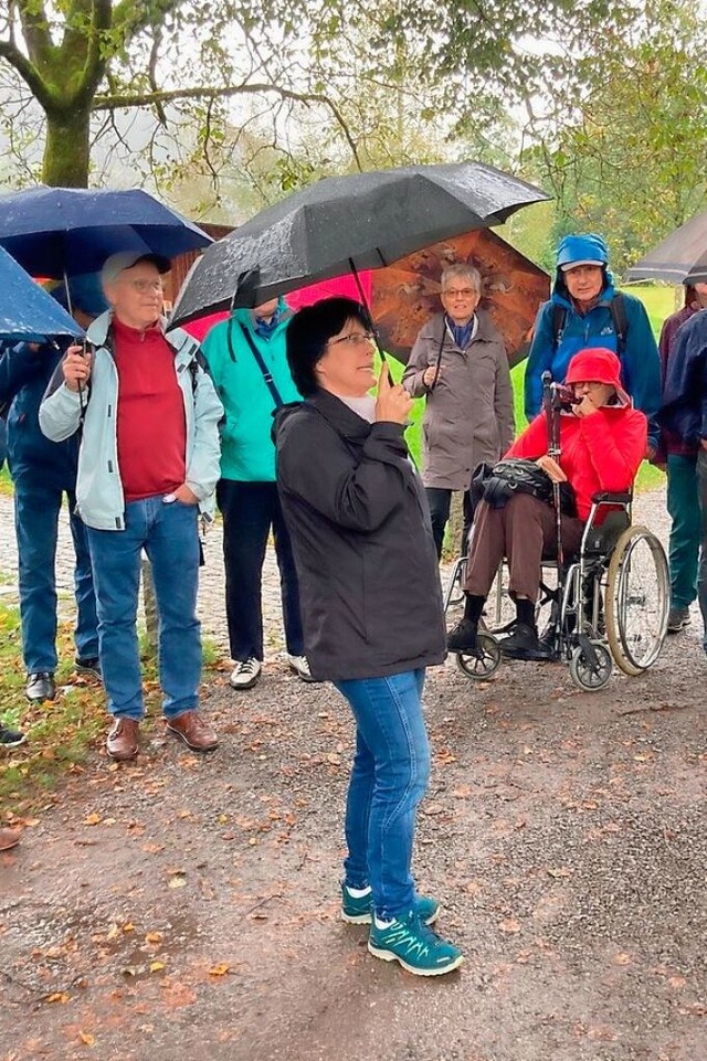 Mit der BZ-Card auf Tour duch die verschiedenen Landschaften des Schwarzwalds.  | Foto: Karin Kleis