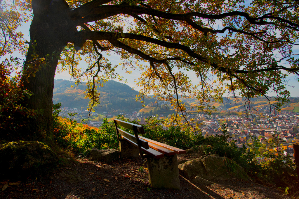 Der Herbst ist da