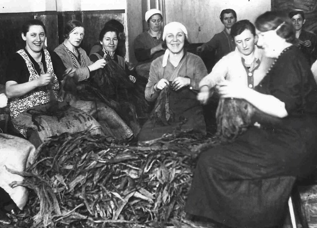 Arbeiterinnen der Roth-Hndle vermutlich in den 1930er Jahren  | Foto: Stadtarchiv Lahr/ Roth-Hndle Album 1