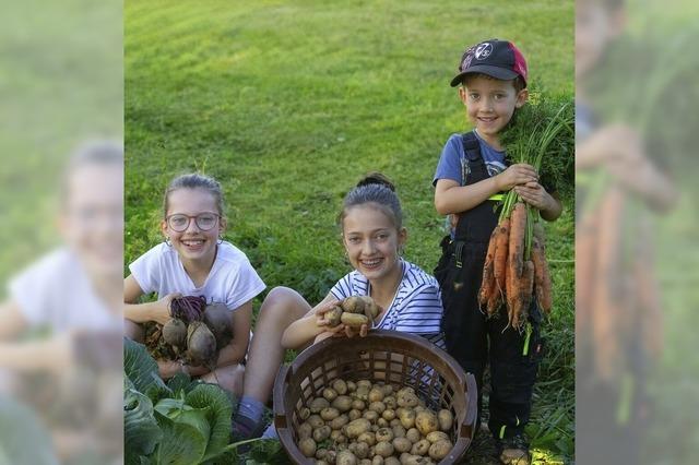 Freude am Garten trotz kleinerer Ernte