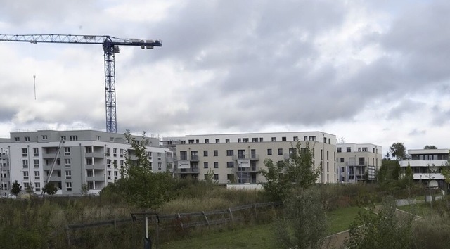 In zentraler Lage &#8222;Am langen Rai...en gefrderte Mietwohnungen entstehen.  | Foto: Volker Mnch