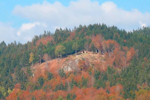 Schner Ja sagen: In Dachsberg traut man sich jetzt im Freien