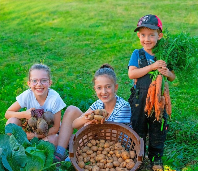 Drei Erntehelfer in Gndelwangen: Soph...n Mechthild und Max, sind immer dabei.  | Foto: Wolfgang Scheu