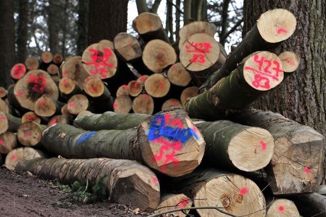 Stau auf der Schauinsland-Rennstrecke wegen Holzerntearbeiten