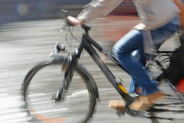 Polizei stoppt auf der A5 bei Weil am Rhein eine betrunkene Radfahrerin