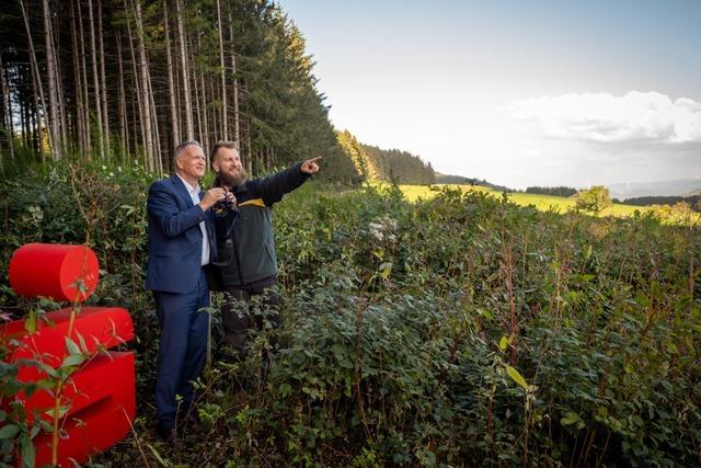 Sparkassenwald mit 2800 Bumen in Biederbach