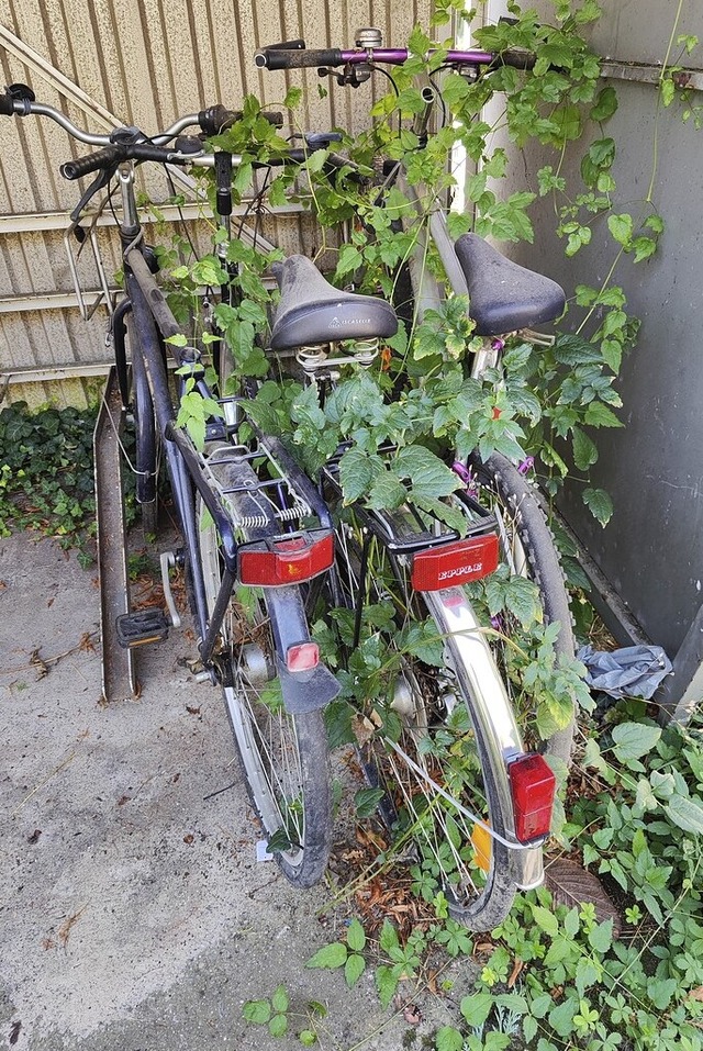 Diese Fahrrder in Schwrstadt am Bahn...sen, nachdem sie niemand abgeholt hat.  | Foto: Melanie Vlk