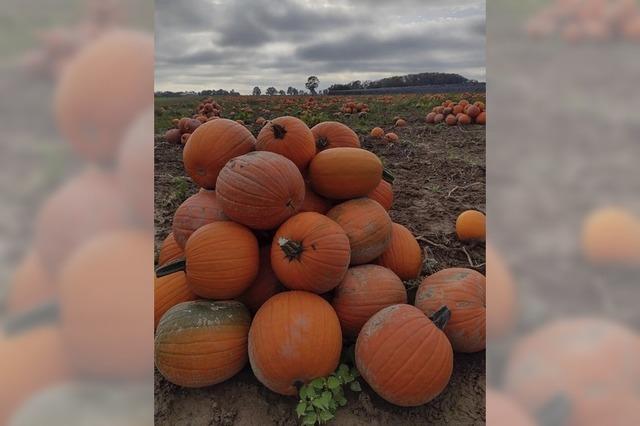 Brgerverein feiert den Herbst – und sich selbst