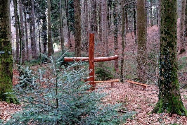 Kurz nach Erffnung: Gemeinderat erhht Gebhren fr Bestattungswald in Rickenbach