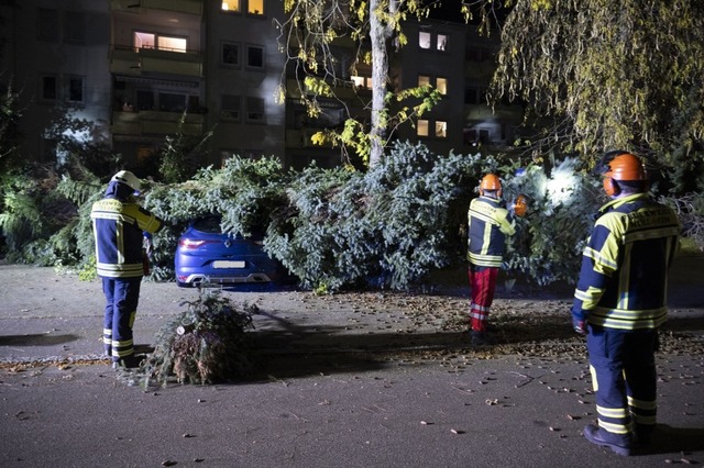 Eine  Fichte strzte auf ein blaues Au...or einem Mehrfamilienhaus geparkt war.  | Foto: Volker Mnch