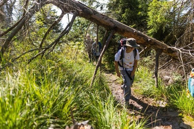 Einig oder nicht? Grn-Schwarz gibt in Sachen Nationalpark Rtsel auf