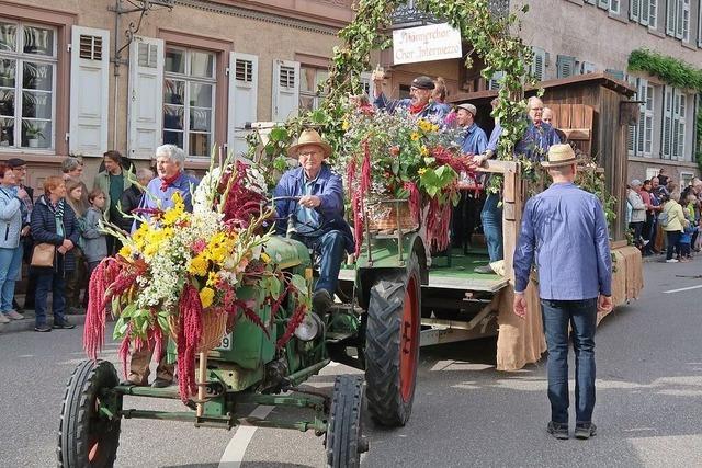 Fotos: Herbstausklang in Ihringen