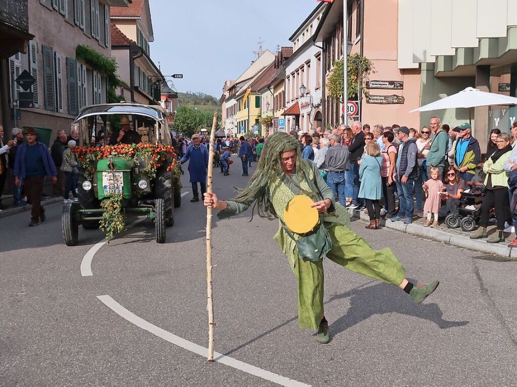 Das Erntedankfest gebhrend feiern, ist fr Winzer und Landwirte in Ihringen seit Jahrzehnten guter Brauch.