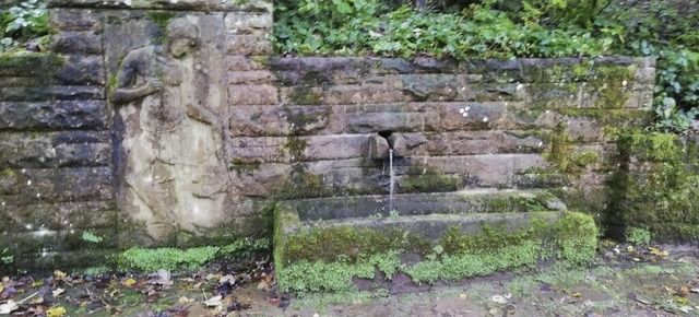 Aus dem Fischerknab-Brunnen am Waldrand von Lahr sprudelt es wieder.   | Foto: Stadt Lahr