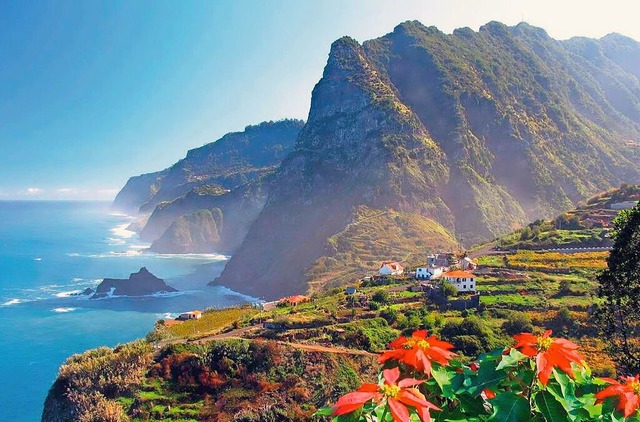 Kstenpanorama von Madeira mit wildem Blumenmeer.  | Foto: Foto-Jagla.de (Shutterstock.com)