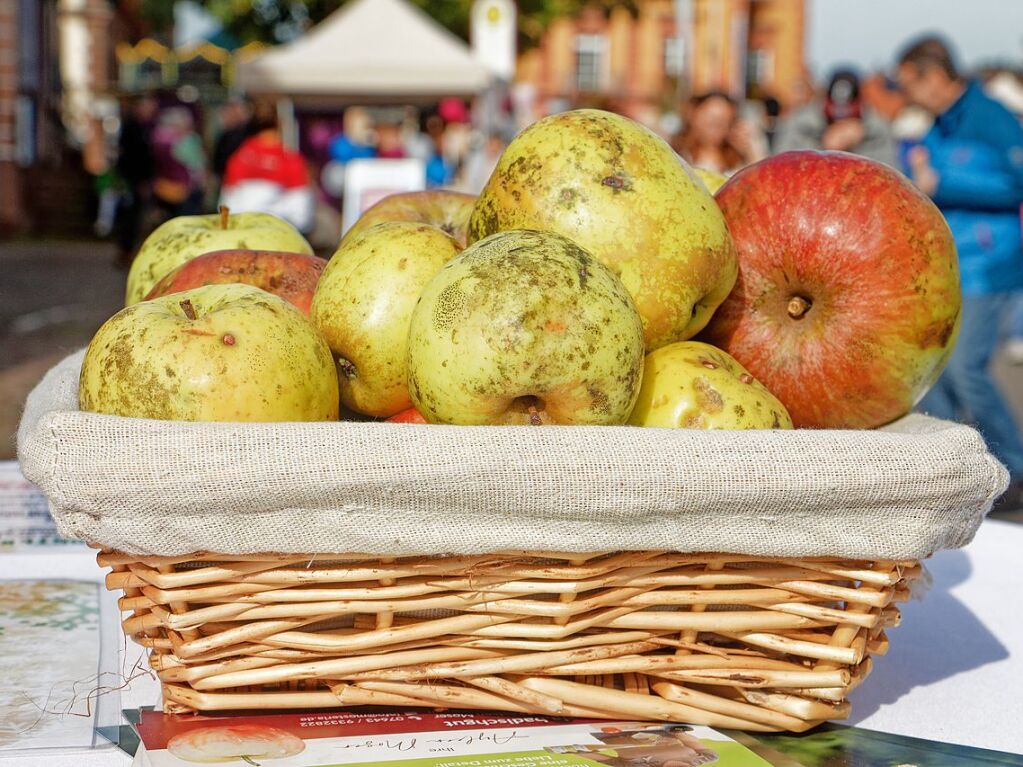 „Herbolzheimat im Herbst“: Der Kinder- und Familientag verwandelt die gesperrte Hauptstrae am Sonntag in eine lebendige Flaniermeile mit Schnppchenangeboten, Genuss und Unterhaltung.