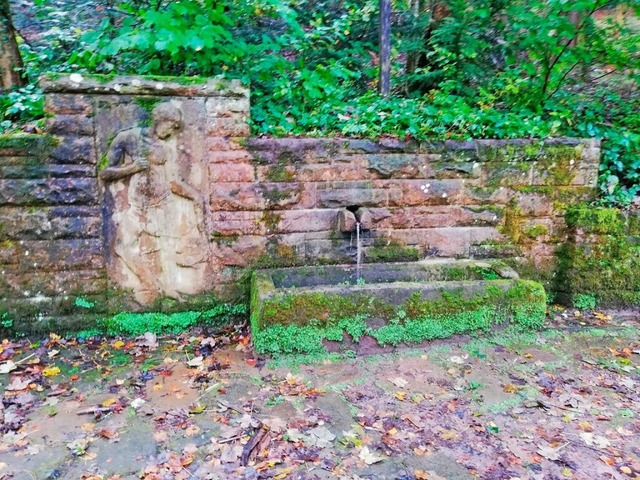 Aus dem Fischerknab-Brunnen am Waldrand von Lahr sprudelt es wieder.  | Foto: Stadt Lahr