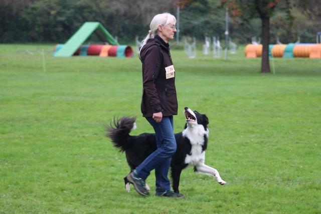 Der Hundeverein Herbolzheim hat am Wochenende die Deutsche Meisterschaft im Obedience ausgerichtet