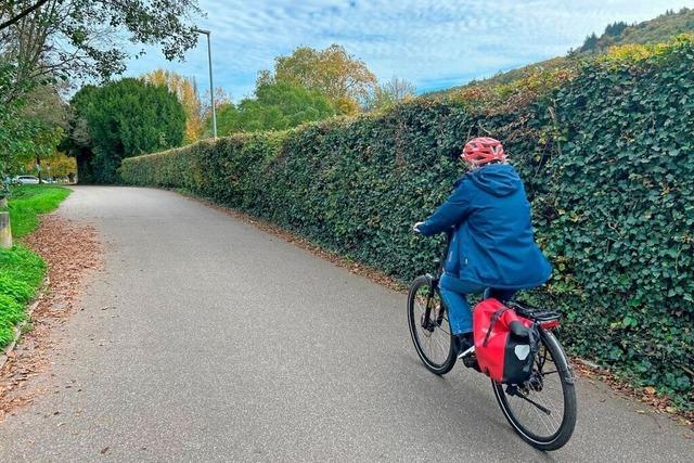 Die erste Fahrradstrae in Lahr wird eingerichtet