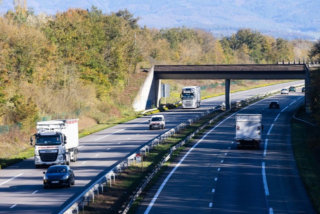 Im Elsass werden die Weichen gestellt ...tobahnen, die bislang kostenlos waren.  | Foto: Philipp von Ditfurth (dpa)