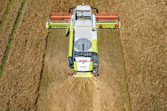 Landwirte im Kreis Lrrach erwarten Entlastung bei Brokratie (Symbolbild)  | Foto: Frank Hammerschmidt (dpa)