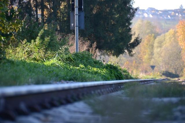 Der Gemeinderat  Kandern will die  Bestrebungen fr eine  Kandertal-S-Bahn untersttzen