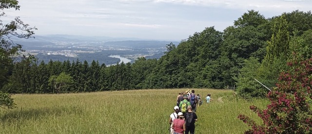   | Foto: Schwarzwaldverein Ortsgruppe Rickenbach