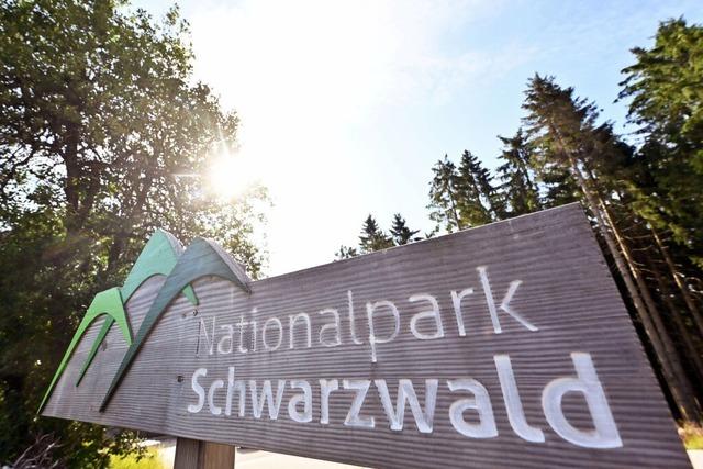 Nationalpark Schwarzwald: Grne und CDU einigen sich auf wesentliche Punkte zur Erweiterung