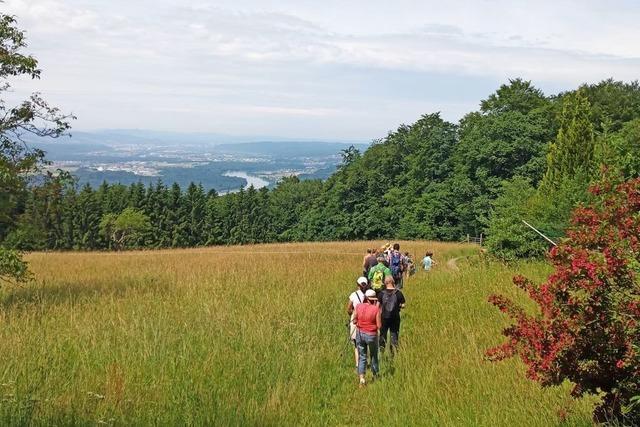 Der Tourismus im Hotzenwald hilft der Wirtschaft