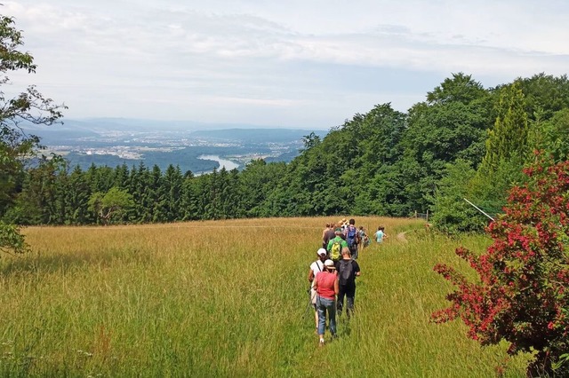 Ausblicke ins Rheintal bietet der Premiumwanderweg &#8222;Hotzenpfad&#8220;.  | Foto: Schwarzwaldverein Ortsgruppe Rickenbach